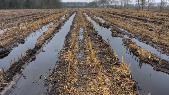 Dried out ruts on farm